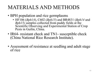 MATERIALS AND METHODS
• BPH population and rice germplasms
• HF106 (Bph14), C602 (Bph15) and BR4831 (Bph14 and
Bph15) samples collected from paddy fields at the
Scientific Observing and Experimental Station of Crop
Pests in Guilin, China.
• IR64- resistant check and TN1- susceptible check
(China National Rice Research Institute).
• Assessment of resistance at seedling and adult stage
of rice
43
 