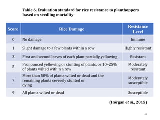 (Horgan et al., 2015)
Score Rice Damage
Resistance
Level
0 No damage Immune
1 Slight damage to a few plants within a row Highly resistant
3 First and second leaves of each plant partially yellowing Resistant
5
Pronounced yellowing or stunting of plants, or 10–25%
of plants wilted within a row
Moderately
resistant
7
More than 50% of plants wilted or dead and the
remaining plants severely stunted or
dying
Moderately
susceptible
9 All plants wilted or dead Susceptible
44
Table 6. Evaluation standard for rice resistance to planthoppers
based on seedling mortality
 