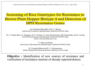 Objective : Identification of new sources of resistance and
verification of resistance reaction of already reported donors.
47
 