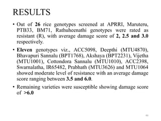 RESULTS
• Out of 26 rice genotypes screened at APRRI, Maruteru,
PTB33, BM71, Rathuheenathi genotypes were rated as
resistant (R), with average damage score of 2, 2.5 and 3.0
respectively.
• Eleven genotypes viz., ACC5098, Deepthi (MTU4870),
Bhavapuri Sannalu (BPT1768), Akshaya (BPT2231), Vijetha
(MTU1001), Cottondora Sannalu (MTU1010), ACC2398,
Swarnalatha, IR65482, Prabhath (MTU3626) and MTU1064
showed moderate level of resistance with an average damage
score ranging between 3.5 and 6.0.
• Remaining varieties were susceptible showing damage score
of >6.0
49
 