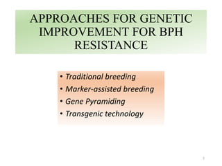 APPROACHES FOR GENETIC
IMPROVEMENT FOR BPH
RESISTANCE
• Traditional breeding
• Marker-assisted breeding
• Gene Pyramiding
• Transgenic technology
7
 