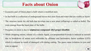 Genetic Improvement in Onion for plant breeding | PPTX