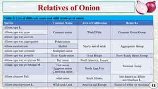 Genetic Improvement in Onion for plant breeding | PPTX
