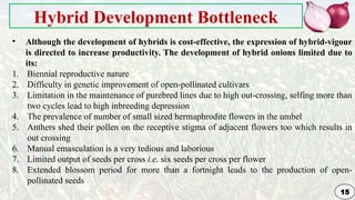 Genetic Improvement in Onion for plant breeding | PPTX