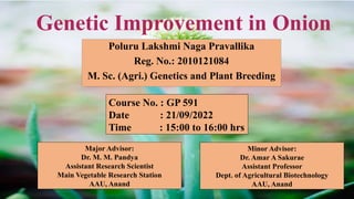 Genetic Improvement in Onion for plant breeding | PPTX