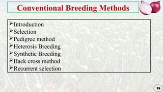 Genetic Improvement in Onion for plant breeding | PPTX