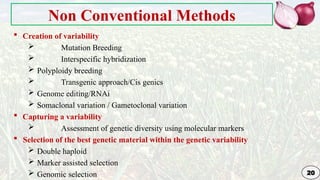 Genetic Improvement in Onion for plant breeding | PPTX