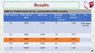Genetic Improvement in Onion for plant breeding | PPTX