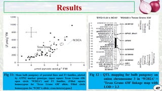 Genetic Improvement in Onion for plant breeding | PPTX