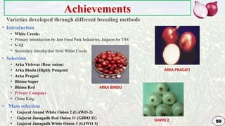 Genetic Improvement in Onion for plant breeding | PPTX