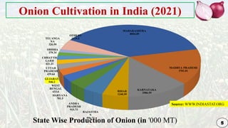 Genetic Improvement in Onion for plant breeding | PPTX