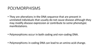 POLYMORPHISMS
• They are alterations in the DNA sequence that are present in
unrelated individuals that usually do not cause disease although they
may modify disease expression or contribute to some phenotypic
manifestations.
• Polymorphisms occur in both coding and non-coding DNA.
• Polymorphisms in coding DNA can lead to an amino acid change.
 