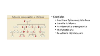• Examples
• Junctional Epidermolysis bullosa
• Lamellar Ichthyosis
• Acrodermatitis enteropathica
• Phenylketonuria
• Xeroderma pigmentosum
 