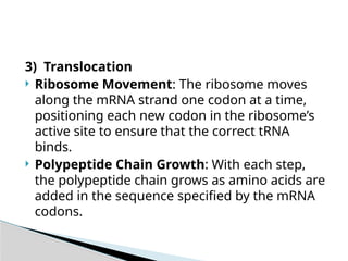 Translocation Steps Genetic information and Protein Synthesis.pptx
