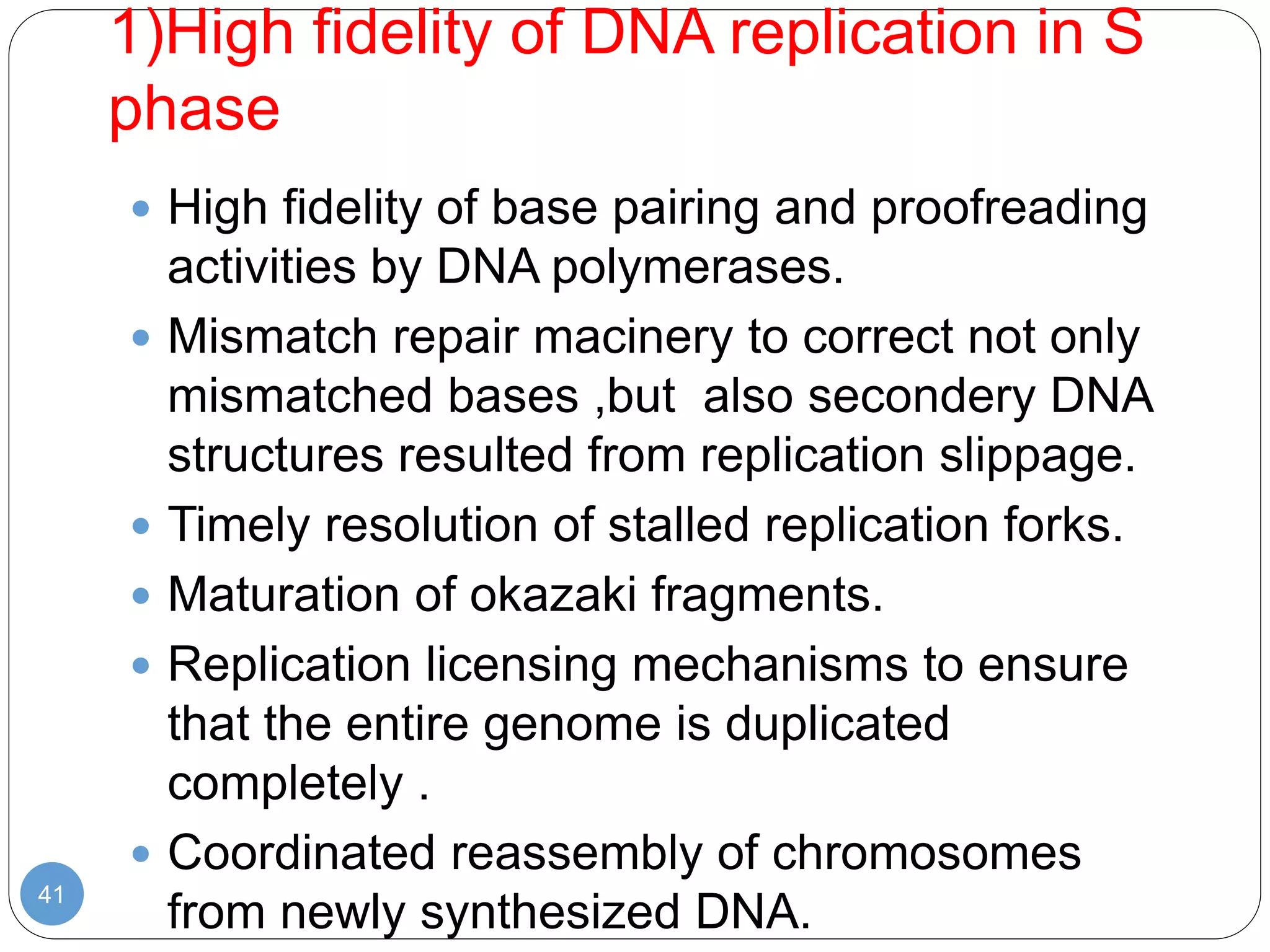 1)High fidelity of DNA replication in S
phase
41
 High fidelity of base pairing and proofreading
activities by DNA polymerases.
 Mismatch repair macinery to correct not only
mismatched bases ,but also secondery DNA
structures resulted from replication slippage.
 Timely resolution of stalled replication forks.
 Maturation of okazaki fragments.
 Replication licensing mechanisms to ensure
that the entire genome is duplicated
completely .
 Coordinated reassembly of chromosomes
from newly synthesized DNA.
 