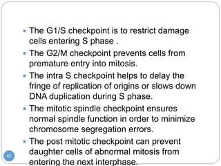 45
 The G1/S checkpoint is to restrict damage
cells entering S phase .
 The G2/M checkpoint prevents cells from
prematur...