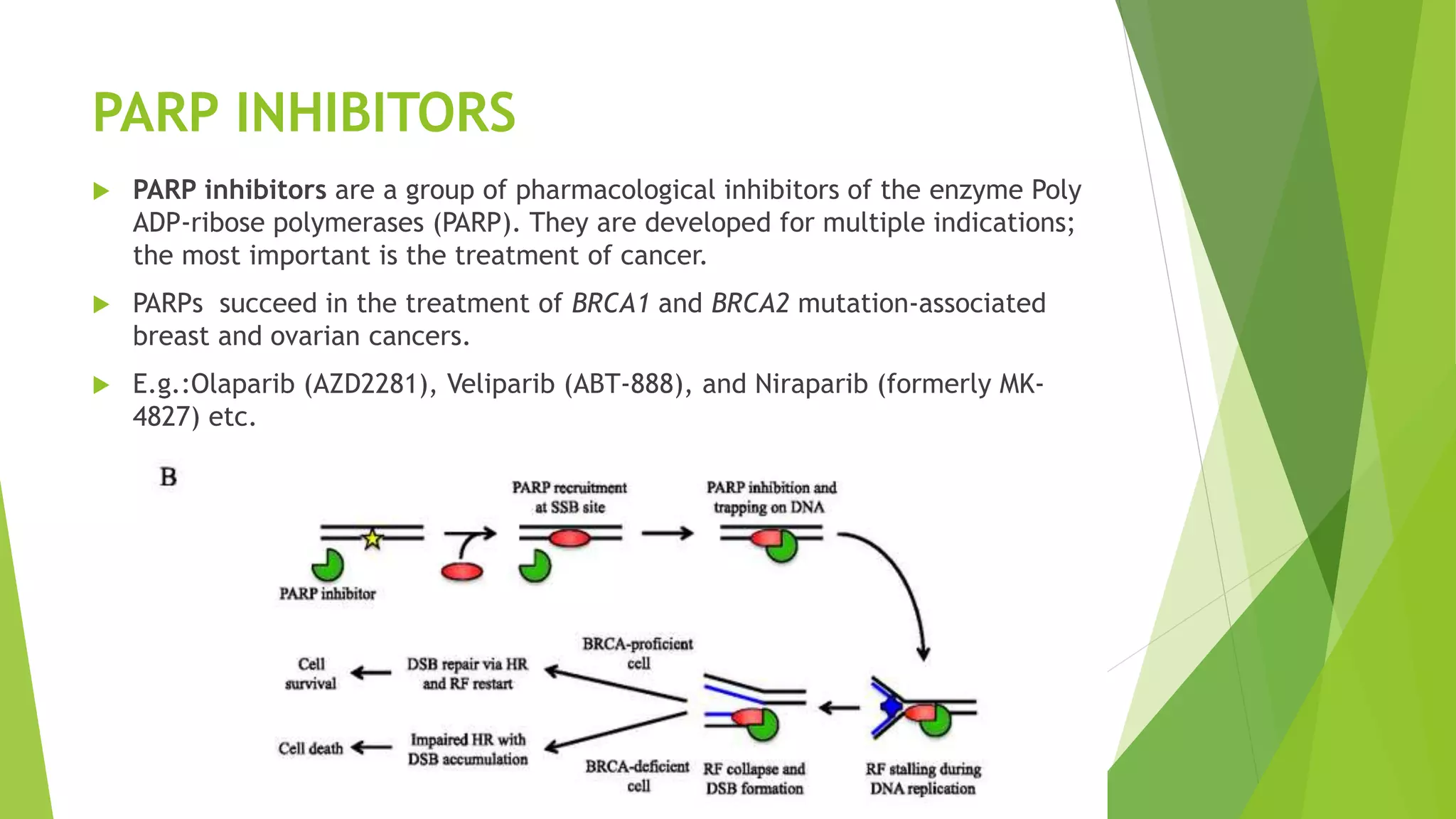 Genetic instability(One of the Hallmarks) and Treatment options | PPTX