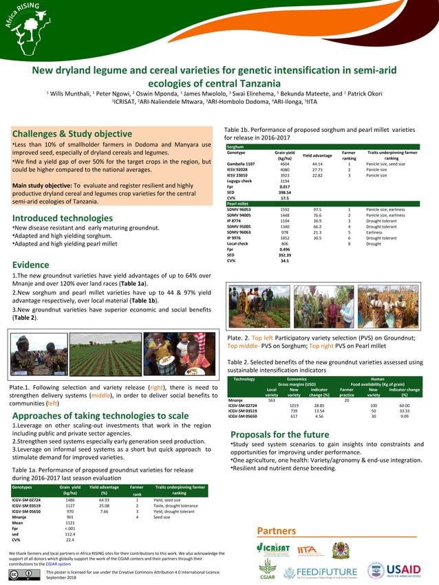 New dryland legume and cereal varieties for intensification in