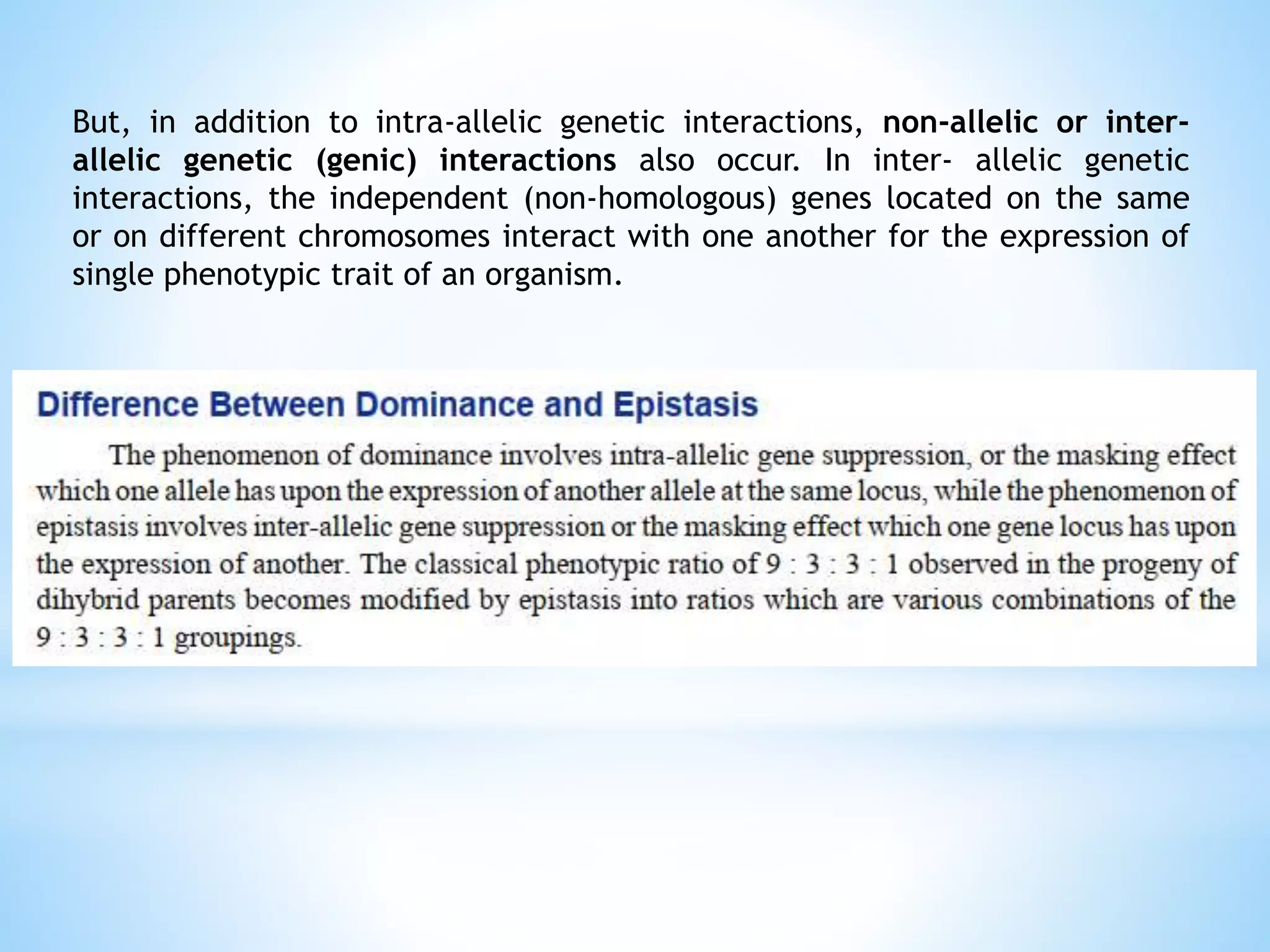 Urgent Warning: Amlodipine And Ibuprofen Interaction Can Be Lethal - 807ha7d