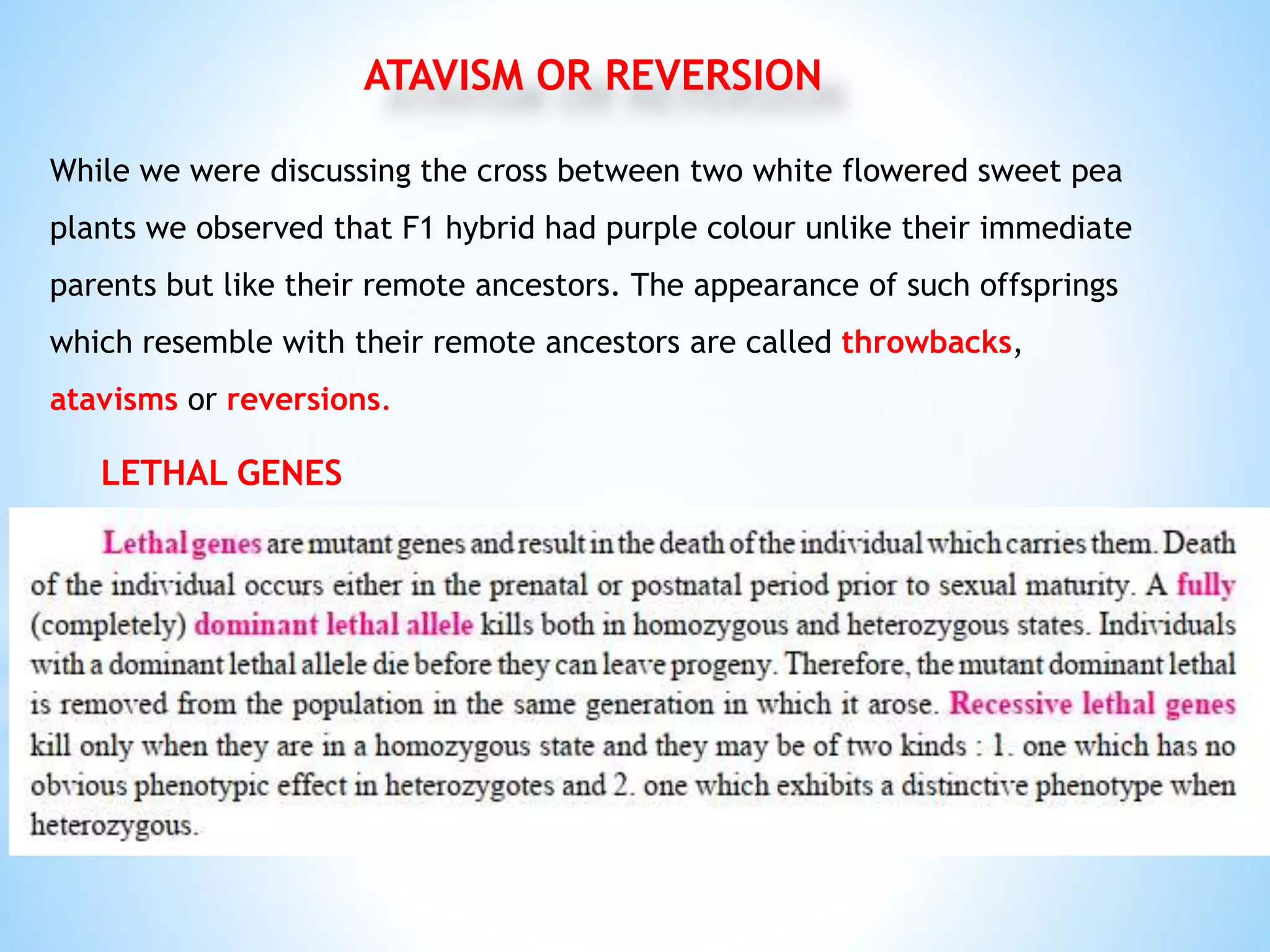 Urgent Warning: Amlodipine And Ibuprofen Interaction Can Be Lethal - m7p53ve