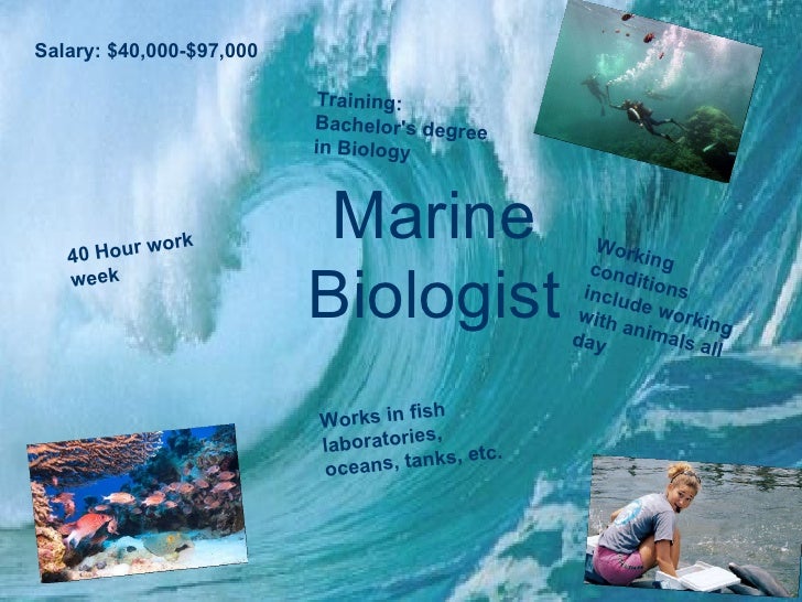 marine biologist marine biologist working conditions