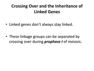 Crossing Over and the Inheritance of
Linked Genes
• Linked genes don’t always stay linked.
• These linkage groups can be separated by
crossing over during prophase I of meiosis.
 