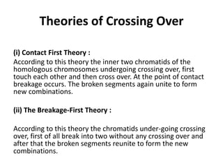Theories of Crossing Over
(i) Contact First Theory :
According to this theory the inner two chromatids of the
homologous chromosomes undergoing crossing over, first
touch each other and then cross over. At the point of contact
breakage occurs. The broken segments again unite to form
new combinations.
(ii) The Breakage-First Theory :
According to this theory the chromatids under-going crossing
over, first of all break into two without any crossing over and
after that the broken segments reunite to form the new
combinations.
 