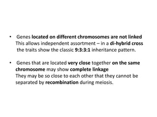 • Genes located on different chromosomes are not linked
This allows independent assortment – in a di-hybrid cross
the traits show the classic 9:3:3:1 inheritance pattern.
• Genes that are located very close together on the same
chromosome may show complete linkage
They may be so close to each other that they cannot be
separated by recombination during meiosis.
 