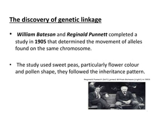 • William Bateson and Reginald Punnett completed a
study in 1905 that determined the movement of alleles
found on the same chromosome.
• The study used sweet peas, particularly flower colour
and pollen shape, they followed the inheritance pattern.
The discovery of genetic linkage
 