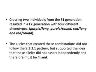 • Crossing two individuals from the F1 generation
resulted in a F2 generation with four different
phenotypes. (purple/long, purple/round, red/long
and red/round).
• The alleles that created these combinations did not
follow the 9:3:3:1 pattern, but supported the idea
that these alleles did not assort independently and
therefore must be linked.
 