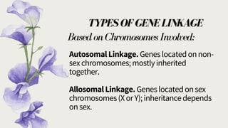 Linkage In Genetics Notes.pdf GENETIC LINKAGE (SCI 201)............pdf