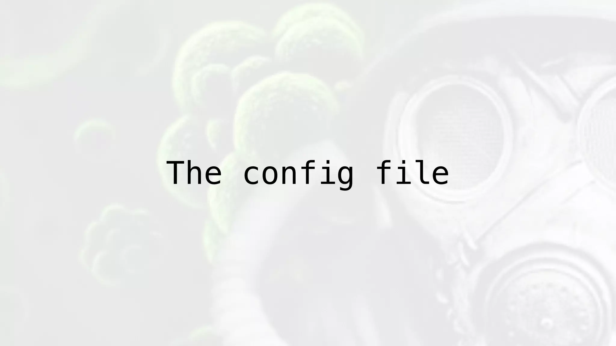 The config file
 