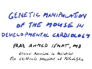 Genetic Manipulation
          of the Mouse in
     Developmental Cardiology




        Fraz Ahmed Ismat, MD

    Clinical Associate in Pediatrics
The Children’s Hospital of Philadelphia
 