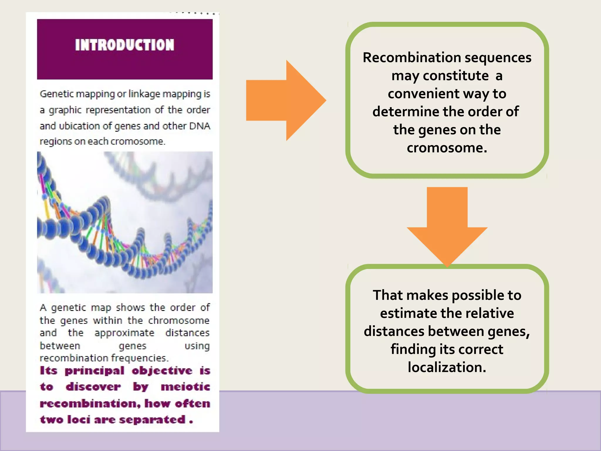 Recombination sequences
may constitute a
convenient way to
determine the order of
the genes on the
cromosome.
That makes possible to
estimate the relative
distances between genes,
finding its correct
localization.
 