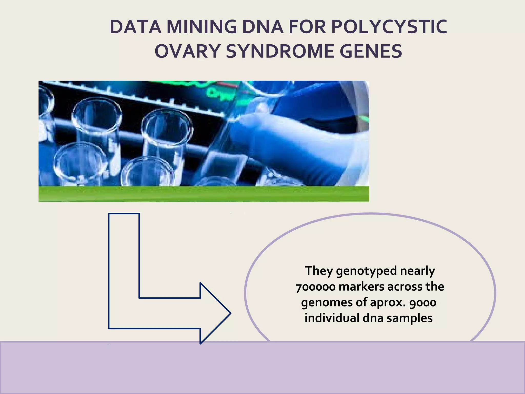 They genotyped nearly
700000 markers across the
genomes of aprox. 9000
individual dna samples
DATA MINING DNA FOR POLYCYSTIC
OVARY SYNDROME GENES
 
 