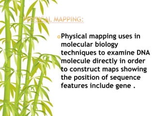 Mapping Method For Biology Genetic mapping | PPTX
