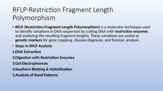RFLP-Restriction Fragment Length
Polymorphism
• RFLP (Restriction Fragment Length Polymorphism) is a molecular technique used
to identify variations in DNA sequences by cutting DNA with restriction enzymes
and analyzing the resulting fragment lengths. These variations are useful as
genetic markers for gene mapping, disease diagnosis, and forensic analysis.
• Steps in RFLP Analysis
1.DNA Extraction
2.Digestion with Restriction Enzymes
3.Gel Electrophoresis
4.Southern Blotting & Hybridization
5.Analysis of Band Patterns
 