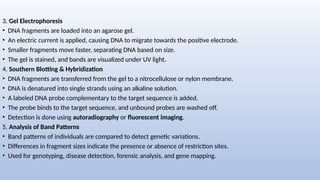3. Gel Electrophoresis
• DNA fragments are loaded into an agarose gel.
• An electric current is applied, causing DNA to migrate towards the positive electrode.
• Smaller fragments move faster, separating DNA based on size.
• The gel is stained, and bands are visualized under UV light.
4. Southern Blotting & Hybridization
• DNA fragments are transferred from the gel to a nitrocellulose or nylon membrane.
• DNA is denatured into single strands using an alkaline solution.
• A labeled DNA probe complementary to the target sequence is added.
• The probe binds to the target sequence, and unbound probes are washed off.
• Detection is done using autoradiography or fluorescent imaging.
5. Analysis of Band Patterns
• Band patterns of individuals are compared to detect genetic variations.
• Differences in fragment sizes indicate the presence or absence of restriction sites.
• Used for genotyping, disease detection, forensic analysis, and gene mapping.
 