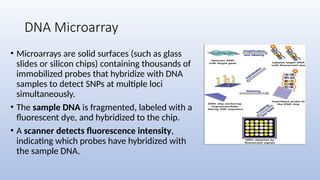 DNA Microarray
• Microarrays are solid surfaces (such as glass
slides or silicon chips) containing thousands of
immobilized probes that hybridize with DNA
samples to detect SNPs at multiple loci
simultaneously.
• The sample DNA is fragmented, labeled with a
fluorescent dye, and hybridized to the chip.
• A scanner detects fluorescence intensity,
indicating which probes have hybridized with
the sample DNA.
 