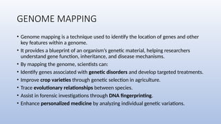 GENOME MAPPING
• Genome mapping is a technique used to identify the location of genes and other
key features within a genome.
• It provides a blueprint of an organism’s genetic material, helping researchers
understand gene function, inheritance, and disease mechanisms.
• By mapping the genome, scientists can:
• Identify genes associated with genetic disorders and develop targeted treatments.
• Improve crop varieties through genetic selection in agriculture.
• Trace evolutionary relationships between species.
• Assist in forensic investigations through DNA fingerprinting.
• Enhance personalized medicine by analyzing individual genetic variations.
 