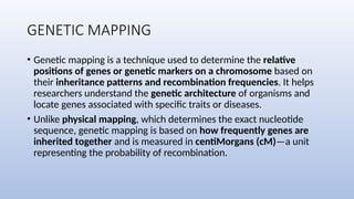 GENETIC MAPPING
• Genetic mapping is a technique used to determine the relative
positions of genes or genetic markers on a chromosome based on
their inheritance patterns and recombination frequencies. It helps
researchers understand the genetic architecture of organisms and
locate genes associated with specific traits or diseases.
• Unlike physical mapping, which determines the exact nucleotide
sequence, genetic mapping is based on how frequently genes are
inherited together and is measured in centiMorgans (cM)—a unit
representing the probability of recombination.
 