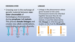 CROSSING OVER
• Crossing over is the exchange of
genetic material between non-
sister chromatids of
homologous chromosomes
during prophase I of meiosis.
This process breaks linkages and
creates new allele combinations,
contributing to genetic diversity.
LINKAGE
• Linkage is the phenomenon where
genes located on the same
chromosome tend to be inherited
together because they do not
assort independently during
meiosis. It was first observed by
T.H. Morgan in 1910 through his
studies on the fruit fly (Drosophila
melanogaster).
 