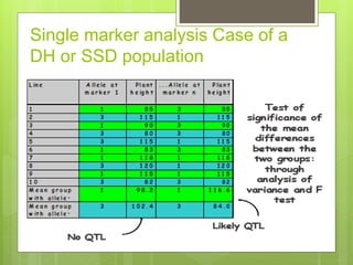 Single marker analysis Case of a
DH or SSD population
 