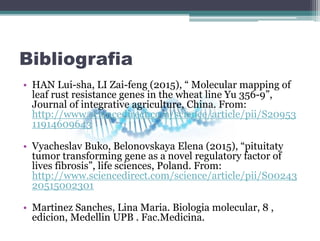 Bibliografia
• HAN Lui-sha, LI Zai-feng (2015), “ Molecular mapping of
leaf rust resistance genes in the wheat line Yu 356-9”,
Journal of integrative agriculture, China. From:
http://www.sciencedirect.com/science/article/pii/S20953
11914609643
• Vyacheslav Buko, Belonovskaya Elena (2015), “pituitaty
tumor transforming gene as a novel regulatory factor of
lives fibrosis”, life sciences, Poland. From:
http://www.sciencedirect.com/science/article/pii/S00243
20515002301
• Martinez Sanches, Lina Maria. Biologia molecular, 8 ,
edicion, Medellin UPB . Fac.Medicina.
 