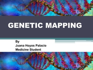 GENETIC MAPPING
By
Juana Hoyos Palacio
Medicine Student
 