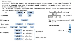 Comprehensive Overview of Genetic Mapping Techniques and Applications | PDF
