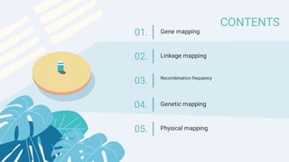 Comprehensive Overview of Genetic Mapping Techniques and Applications | PDF
