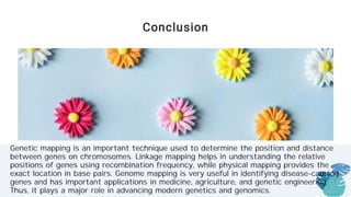 Comprehensive Overview of Genetic Mapping Techniques and Applications | PDF