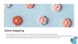 Comprehensive Overview of Genetic Mapping Techniques and Applications | PDF