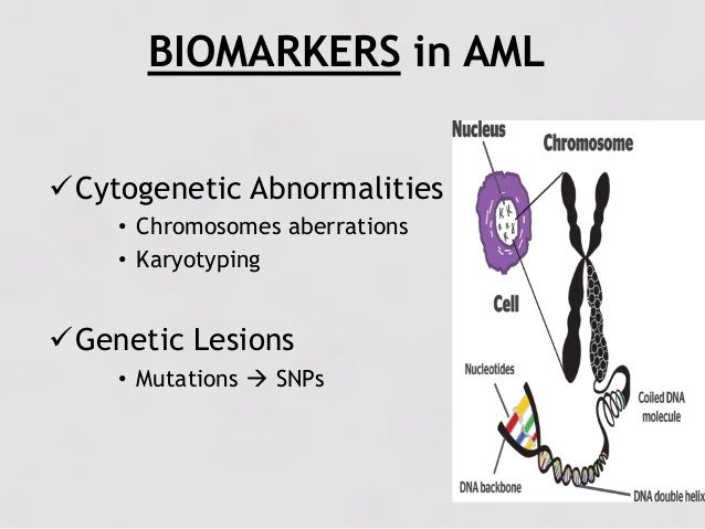 Genetic Markers In Aml Genetic Markers In Aml